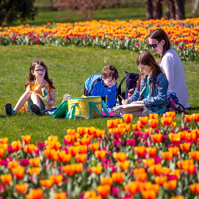 A woman and her children sit near a sea of tulips at Reiman Gardens.