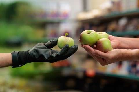 Article: Responding to food insecurity
