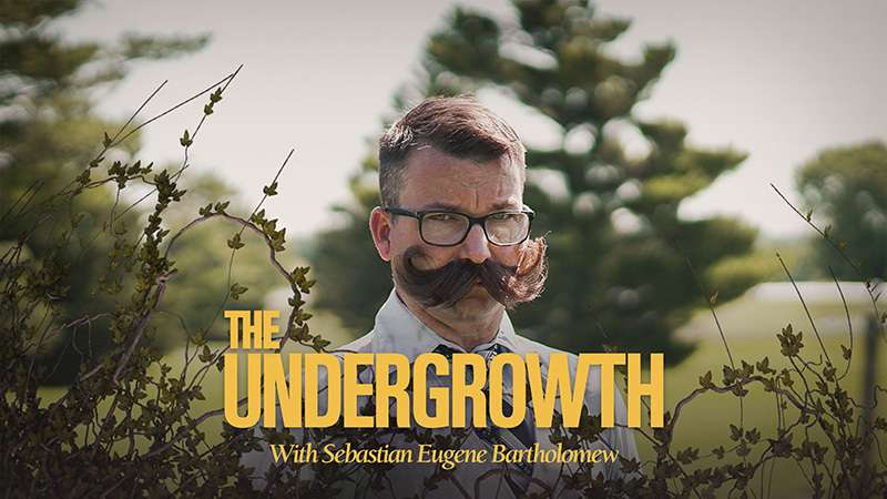 Article: A mustache keys learning about pest management