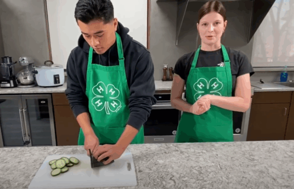 Article: Lights, Camera, Vegetables!